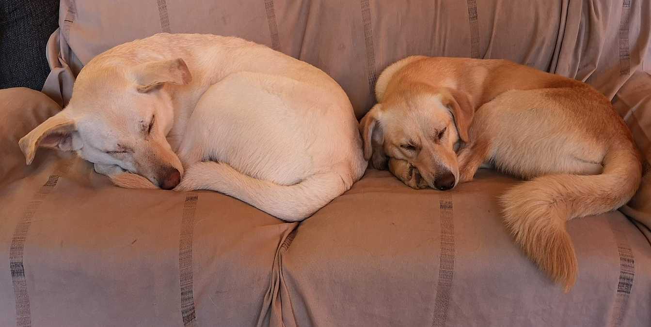 lumi-leika-3 Lumi & Leika